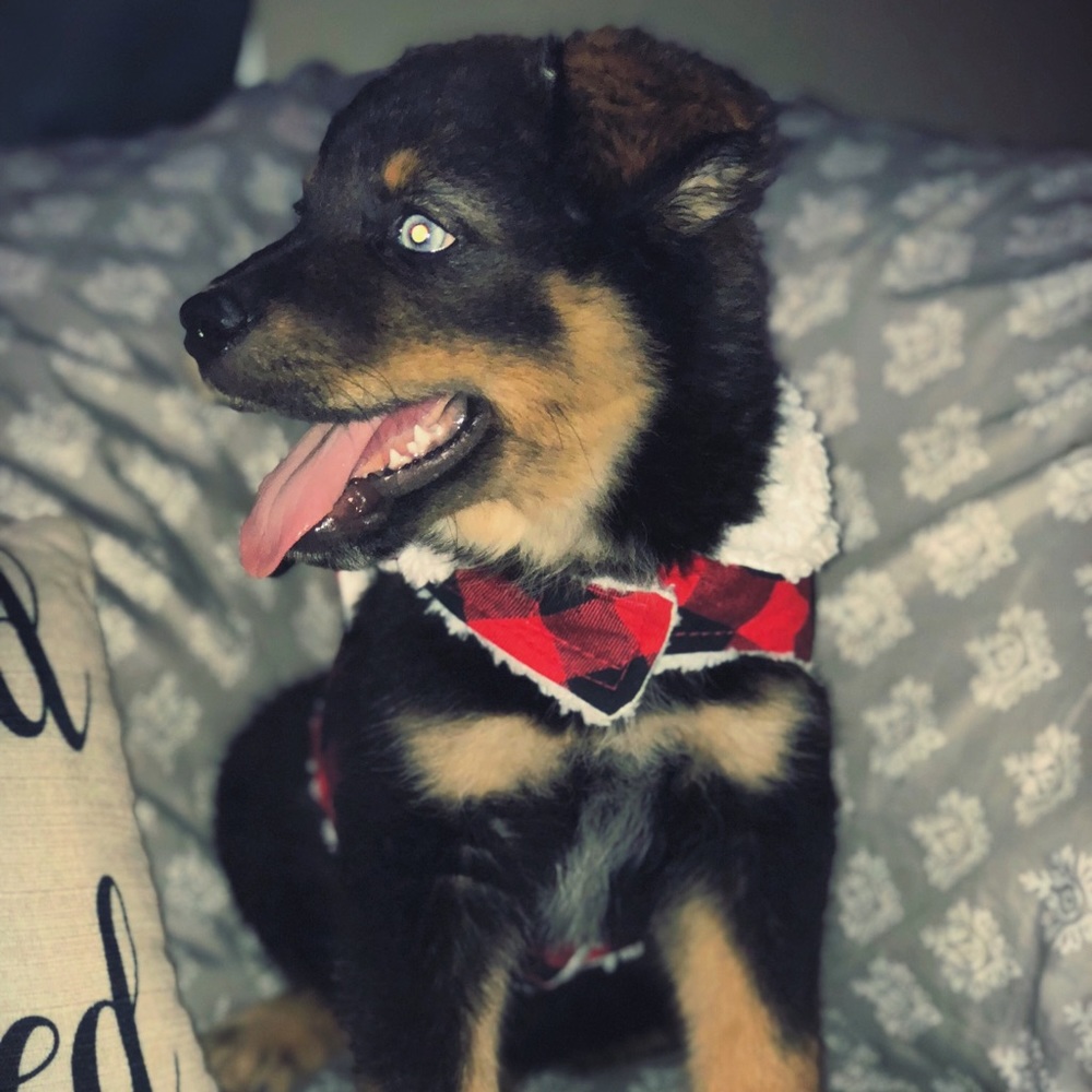 Meet your Posher, Haylee